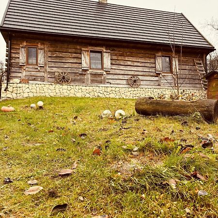 Agroturystyka LipoweWzgórze domek Danusia Tereszpol Zewnętrze zdjęcie